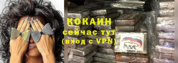 ПСИЛОЦИБИНОВЫЕ ГРИБЫ Няндома