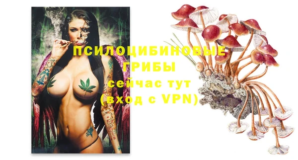 ПСИЛОЦИБИНОВЫЕ ГРИБЫ Няндома